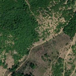 Satellite imagery of Košakčiova Niva, MK