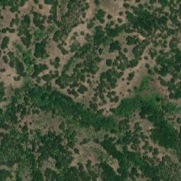 Satellite imagery of Petkova Niva, MK