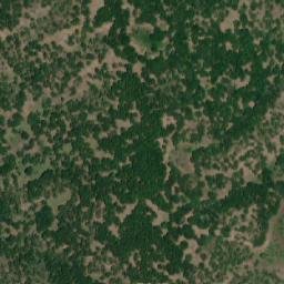Satellite imagery of Petkova Niva, MK