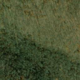 Satellite imagery of Sprout Point, US