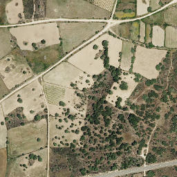 Satellite imagery of survey_point, PT
