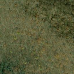 Satellite imagery of Sprout Point, US