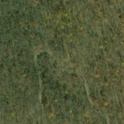 Satellite imagery of Sprout Point, US