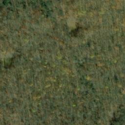 Satellite imagery of Sprout Point, US