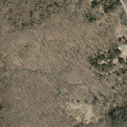 Satellite imagery of Easter Point, US