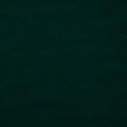 Satellite imagery of Bonnet Point, US