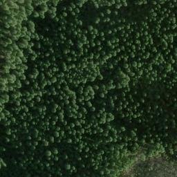 Satellite imagery of Lonesome Ridge, US