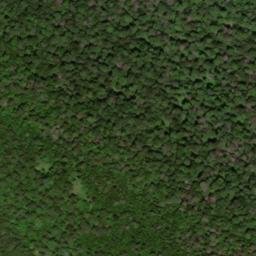 Satellite imagery of Burnetts Ridge, US