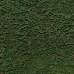 Satellite imagery of Burnetts Ridge, US