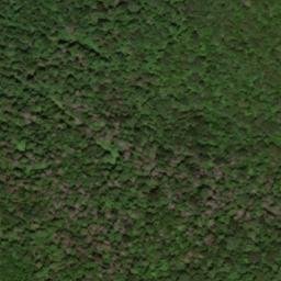 Satellite imagery of Burnetts Ridge, US