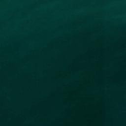 Satellite imagery of Bonnet Point, US