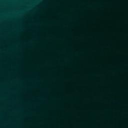 Satellite imagery of Bonnet Point, US