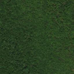 Satellite imagery of Boweyes Point, US
