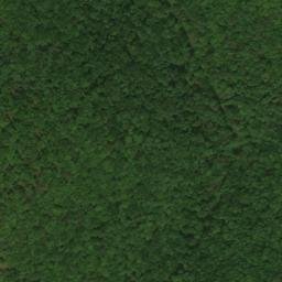 Satellite imagery of Boweyes Point, US