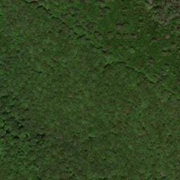 Satellite imagery of Burnetts Ridge, US