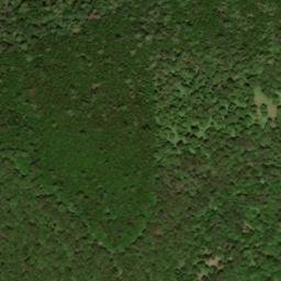 Satellite imagery of Burnetts Ridge, US