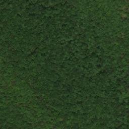 Satellite imagery of Boweyes Point, US
