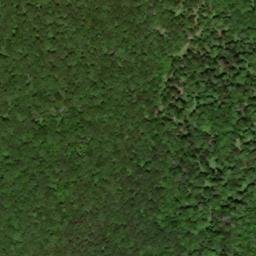 Satellite imagery of Burnetts Ridge, US