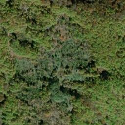 Satellite imagery of Ḱafa, MK