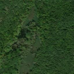 Satellite imagery of Bushy Ridge, US