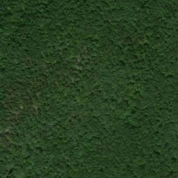 Satellite imagery of Bushy Ridge, US