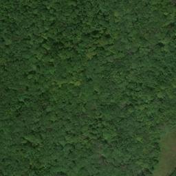 Satellite imagery of Bushy Ridge, US