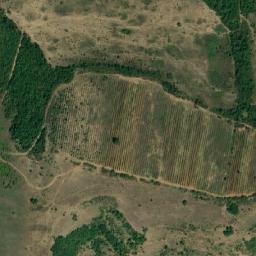 Satellite imagery of Dzhingarovets, BG