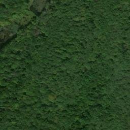 Satellite imagery of Bushy Ridge, US