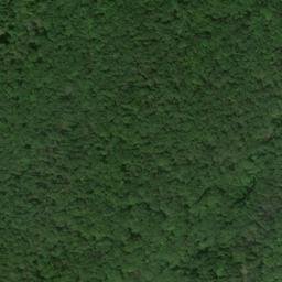 Satellite imagery of Bushy Ridge, US