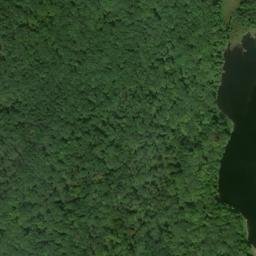 Satellite imagery of Bushy Ridge, US