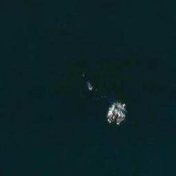Satellite imagery of Brenton Point, US