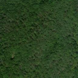 Satellite imagery of Bushy Ridge, US