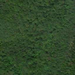 Satellite imagery of Bushy Ridge, US