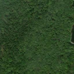 Satellite imagery of Bushy Ridge, US