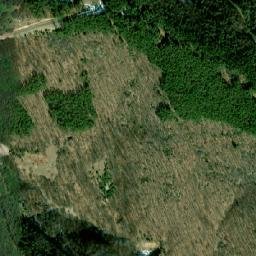 Satellite imagery of Petrovitsa, BG
