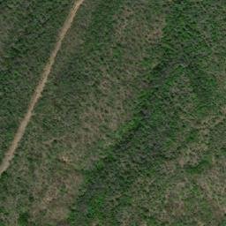 Satellite imagery of TT1245, TR
