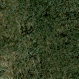 Satellite imagery of Selden Neck, US