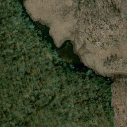 Satellite imagery of Selden Neck, US