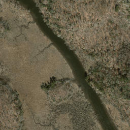 Satellite imagery of Selden Neck, US