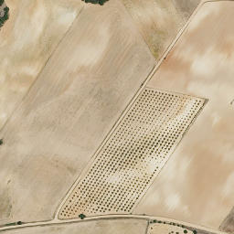 Satellite imagery of survey_point, ES