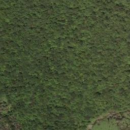 Satellite imagery of Beechnut Ridge, US