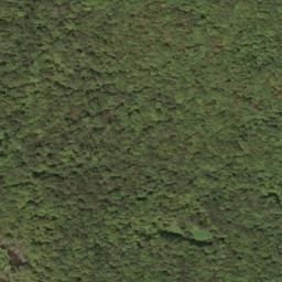 Satellite imagery of Beechnut Ridge, US