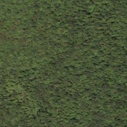 Satellite imagery of Beechnut Ridge, US