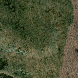 Satellite imagery of Selden Neck, US