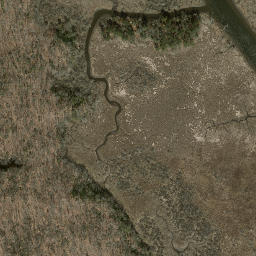 Satellite imagery of Selden Neck, US