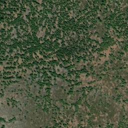 Satellite imagery of Sugar Pine Ridge, US
