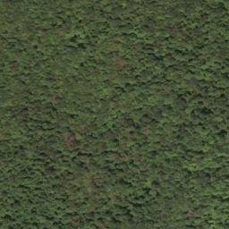 Satellite imagery of Beechnut Ridge, US