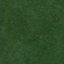 Satellite imagery of Buckhorn Ridge, US