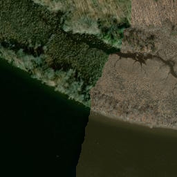 Satellite imagery of Selden Neck, US