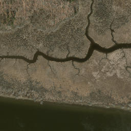 Satellite imagery of Selden Neck, US